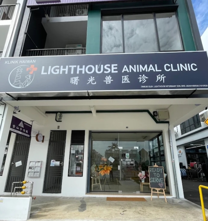 Lighthouse Animal Clinic photo 1